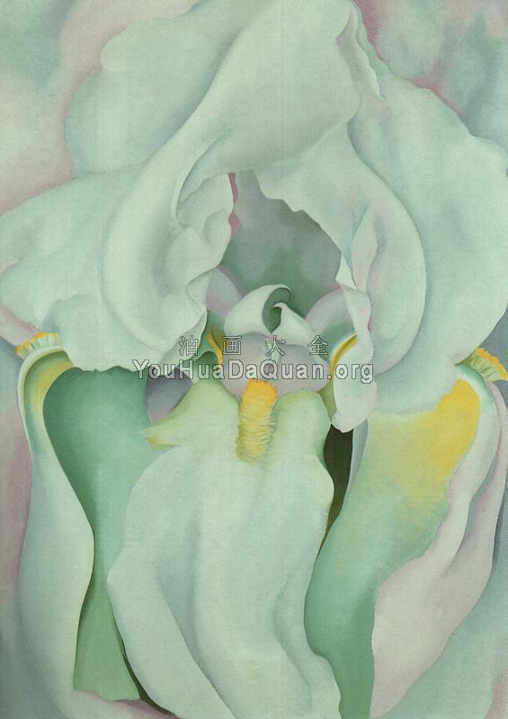 Light Iris - 乔治亚·奥基夫